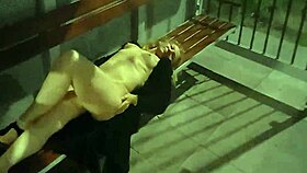 night walk turned wild with public stripping 😜