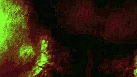 vintage dark london in the shadows of the swinging sixties rope bondage