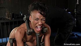 Slim ebony slut's ass caned and whipped 😈