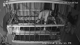 the cagecam shows a non-edited feed of bound gay men in bondage play