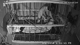 the cagecam shows a non-edited feed of bound gay men in bondage play