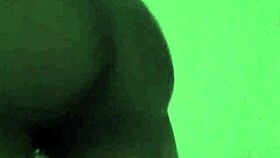 Black Shemales This 4 U