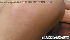 Renata Farias Strokes Her Big Cock for Wild Creampie Fun