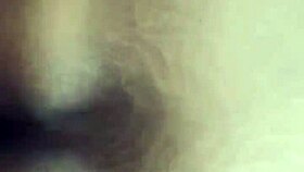 I'm Ebony BBW Getting Doggystyled