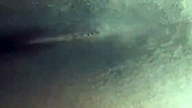 I'm Ebony BBW Getting Doggystyled