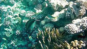 Naughty milf mariaold flashes her huge boobs.