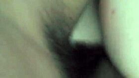 Phatcat Fucking in Woods!