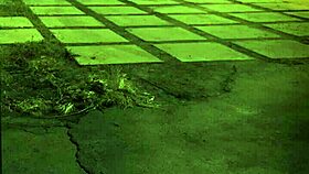 Feeling The Rough Bondage And Squirting In Hd Bdsm Session