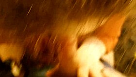 Wife Boldly Sucks My Cock.