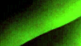 Amateur wife sucking a dick and licking an ass