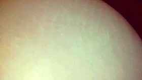 i caught my brunette maid moaning while banging her big ass till i came