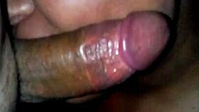 morena gives tremendous blowjobs