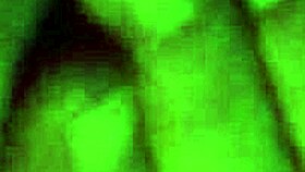 Amateur wife sucking a dick and licking an ass