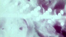 Vintage Cartoon Illustration