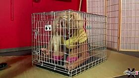 Does dominating Scott Rhodes make Maxine X suck his cock?