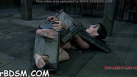 Caged Brunette Babe Masturbates with Toys