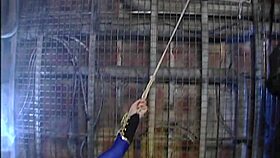 Watch the ninja fuck in this volume.