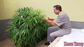 you gotta see how sex crazed tranny Amanda Ferraz seduces two men into bareback 3some