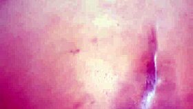 A tale of a curvaceous lady