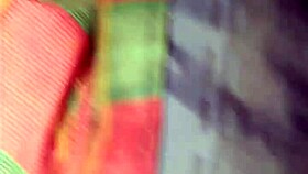 The Little Fox of the Villa