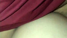 The Little Fox of the Villa