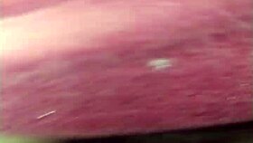 The Little Fox of the Villa