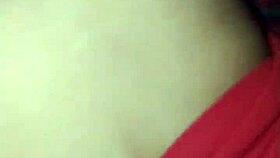 The Little Fox of the Villa