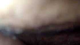 The Little Fox of the Villa