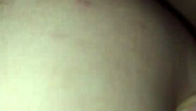 The Little Fox of the Villa