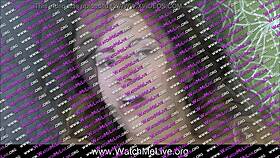 watch olivia as she masturbates solo on her webcam, building up to a intense cum on her cam show