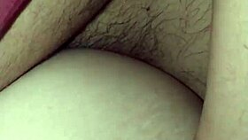 The Little Fox of the Villa