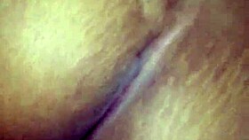 Thick girl gets dick