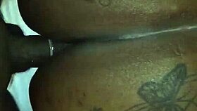 Big booty doggystyle with Gucci Asswell