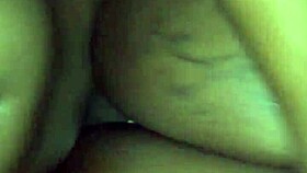 Big booty doggystyle with Gucci Asswell