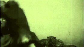 Vintage harige kut plagen in buiten retro scène