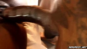 big ass titties get fucked hard