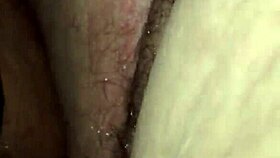 Exploring the fat way of life with big features and fun activities.