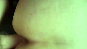 Fucking My BBW Pet Doggystyle On Leash