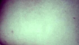 I feel her wet pussy while fucking hard