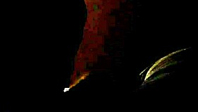 Amateur Couple Chelo and Leo