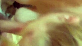 wife passionately performs rimjob on husband, feeling intense emotions.