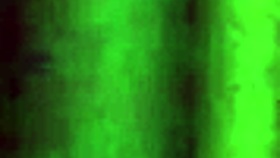 escort's passionate bj and titty fuck