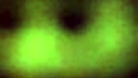 escort's passionate bj and titty fuck