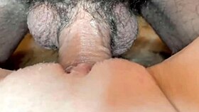 Amateur babe gets cumshot on shaved pussy at home