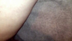 knights enjoy their play time together