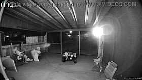 Caught Sucking Big Cock on Back Porch with Gate Open for Neighbors to Watch Deep Throat!