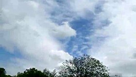 deep throating pov blowjob in outdoor field with big tits