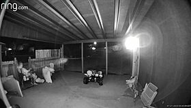 Caught Sucking Big Cock on Back Porch with Gate Open for Neighbors to Watch Deep Throat!