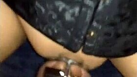 knights enjoy their play time together