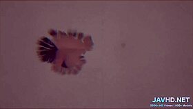 i fucked a japanese chick in stockings, vol 39